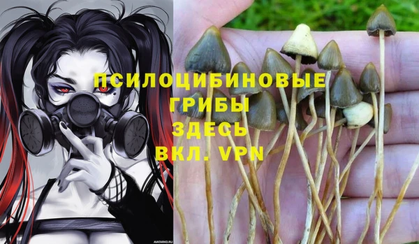 спайс Алексеевка