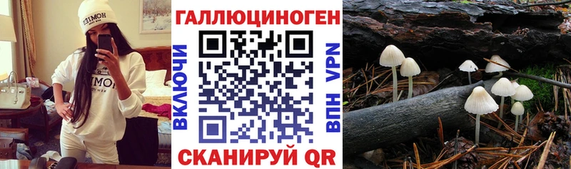 кракен ONION  цены   маркетплейс состав  Галлюциногенные грибы Magic Shrooms  Сосновоборск 