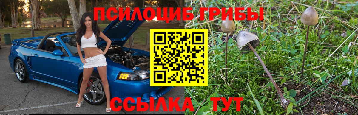Псилоцибиновые грибы мухоморы Сосновоборск